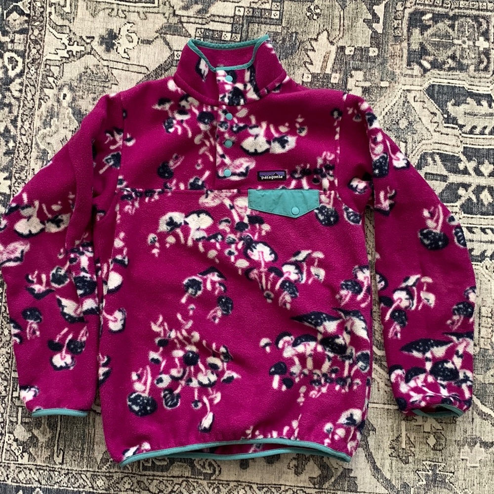 RARE Patagonia mushroom synchilla snap pullover